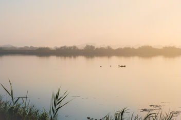 Camargue Softness - image gratuit #456853